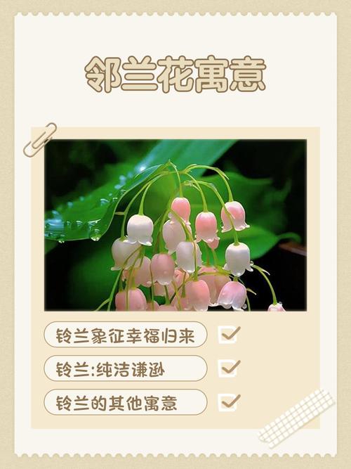 梦见种花预示着什么吉凶？周公解梦中的种花有何特殊含义？