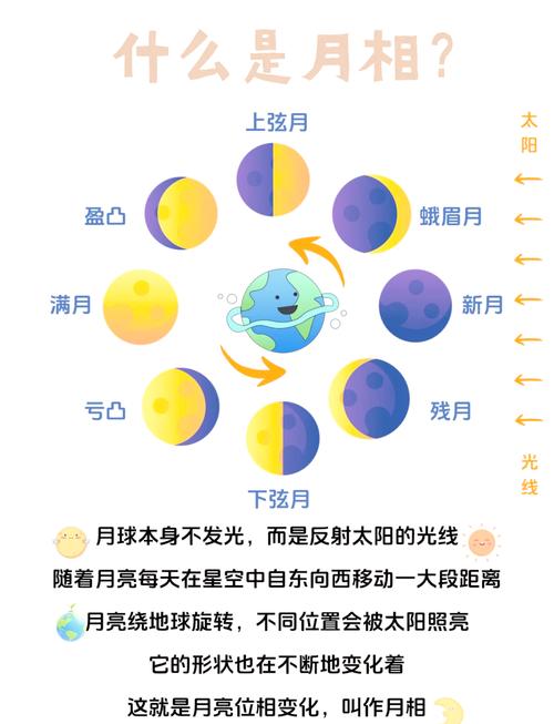 月亮正位在感情中具体代表什么含义？