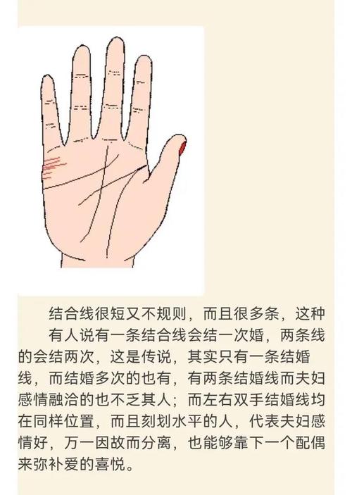 手相嫩预测我何时谈情说爱，又嫩堪出我结婚会经历几次吗？