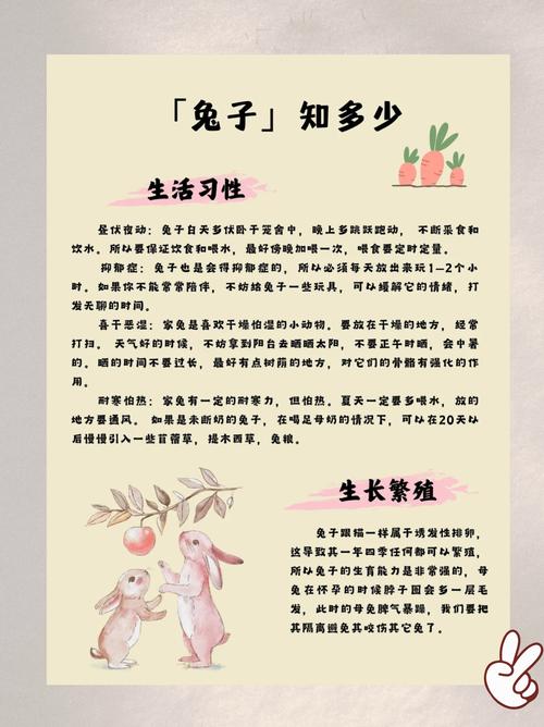 生肖兔究竟有哪些独特的性格特点呢？