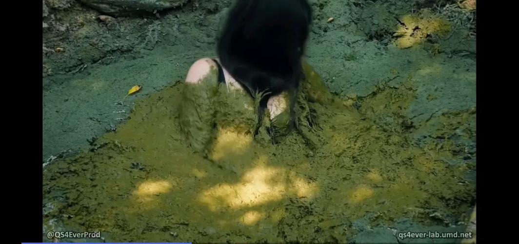 女人梦见掉进泥潭越陷越深，这难道不是形容深陷困境或麻烦之中吗？