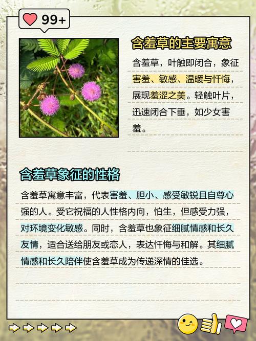 含羞草象征着女人特质，请问这种象征具体代表什么含义？