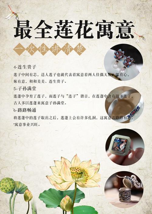 荷花寓意和风水禁忌有哪些，荷花在风水中的作用和需要注意的禁忌是什么？