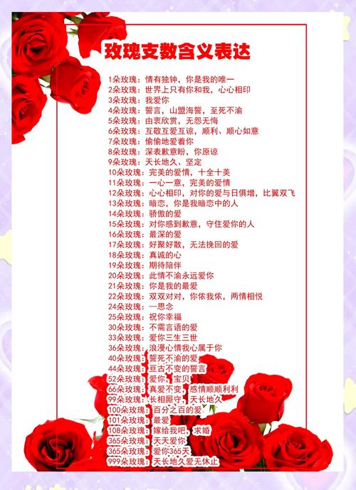 玫瑰花不同朵数分别代表什么含义？