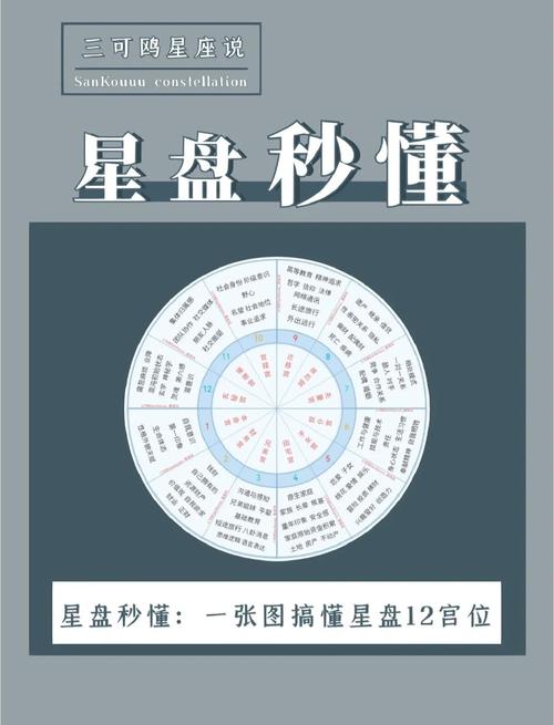 星盘命主星分别落在各个宫位，这是什么意思？
