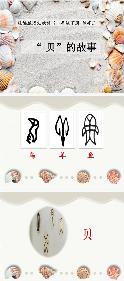 贝字五行属什么生肖？贝字在汉字中又代表什么含义？