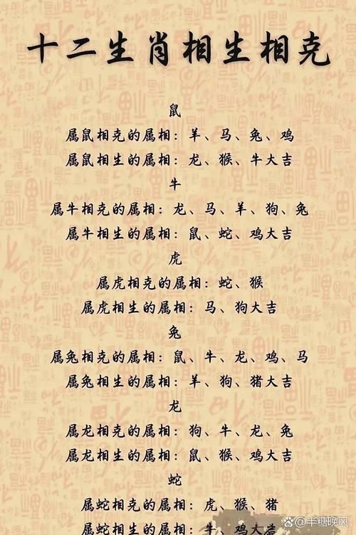 属龙和属狗的人会相互相克吗？如何化解彼此的相克关系？