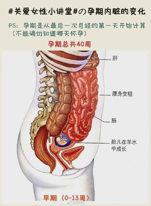 孕妇梦见解剖人体是什么预兆？