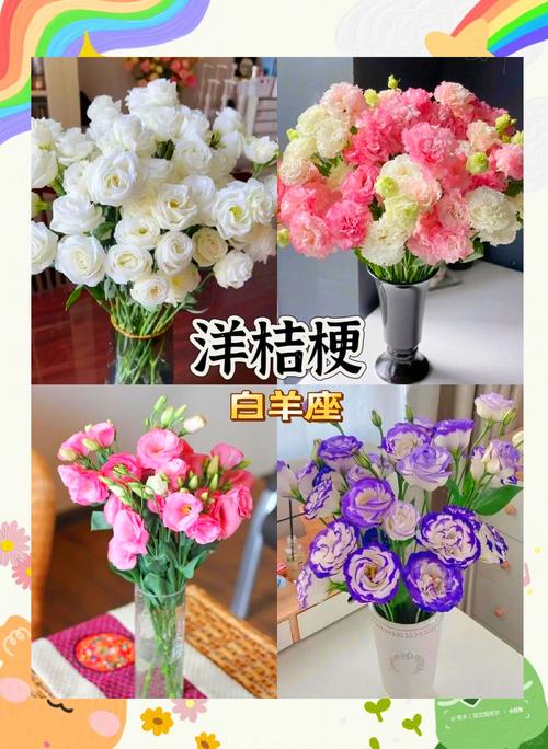 12星座分别喜欢哪种专属幸运花？