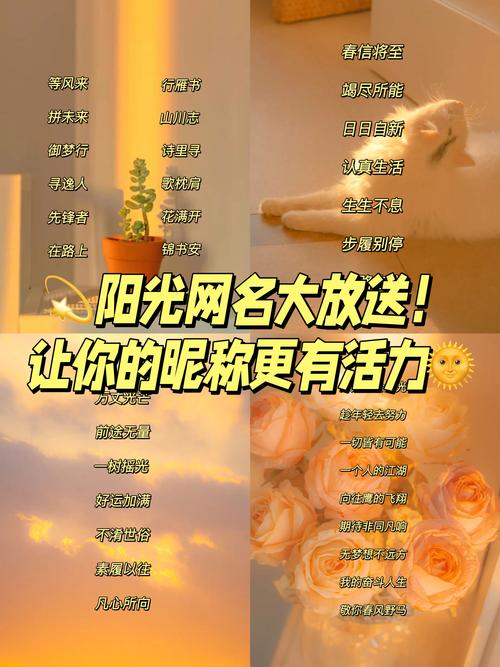 充满阳光的昵称，有没有什么特别的可以形容呢？