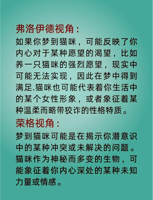 女人梦见捉猫或捡到猫，预示着什么吉凶？