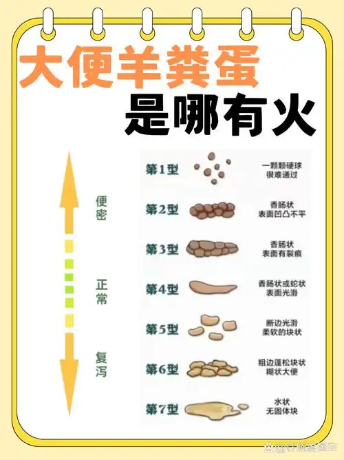 梦见大便在炉火上被烧，这预示着什么？是吉是凶？