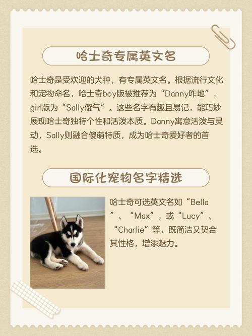 有没有霸气逗比的名字适合给哈士奇取？