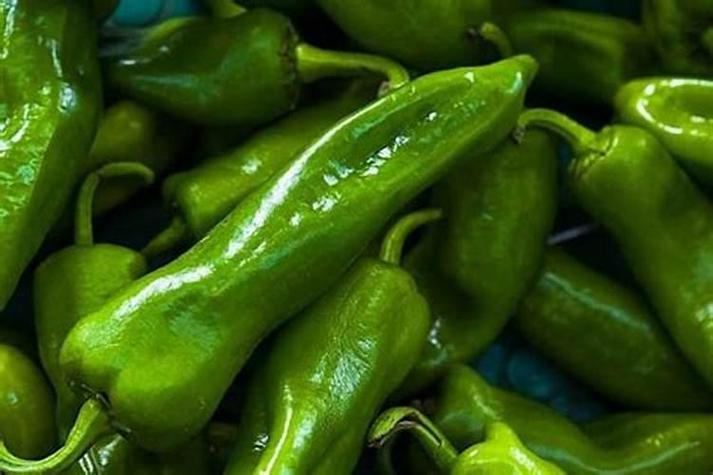梦见用刀切青椒有什么特殊含义或预兆？