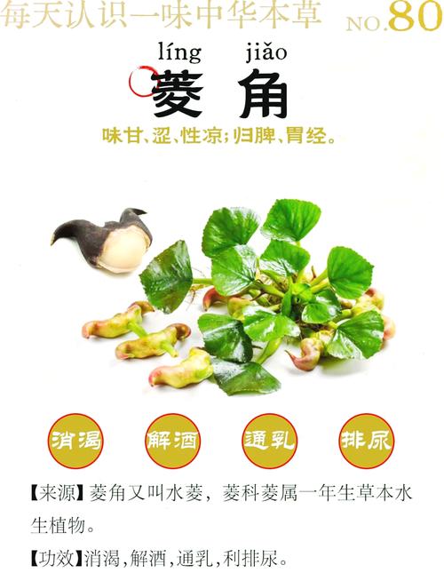 菱角寓意和象征中，菱的意思及其深层寓意究竟有哪些？