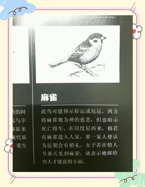 备孕期间梦到麻雀预示着什么？是吉是凶？有什么特殊含义？