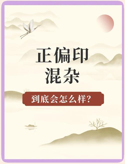 如何处理地支中正偏印混杂的情况，使其变得清晰易懂？