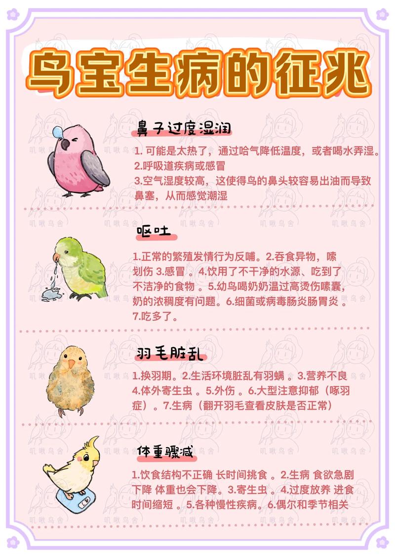 梦见生病的小鸟预示着什么？是吉是凶？还是预示着某种不祥的征兆？