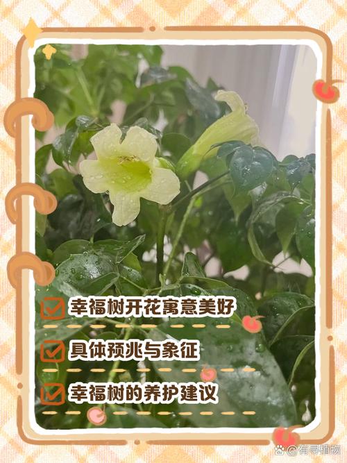 梦见树开花了是什么吉凶预兆？