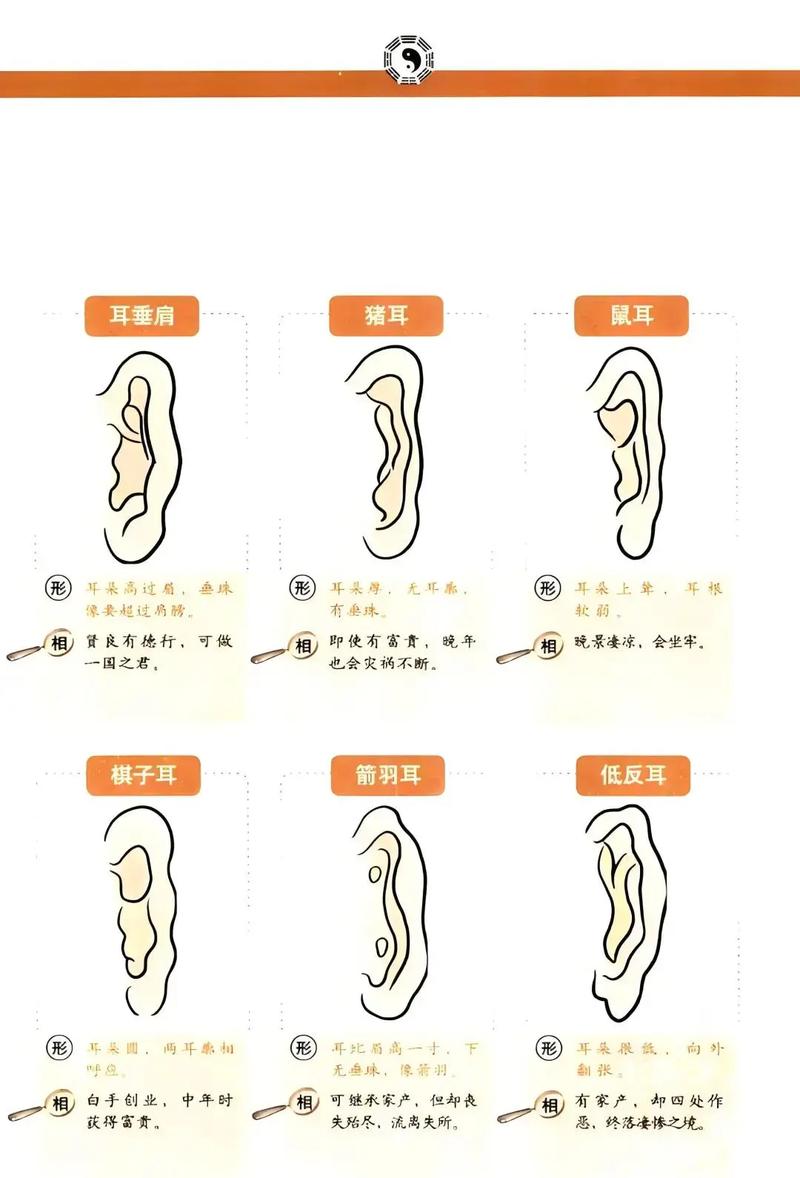 宝宝耳朵大是否代表健康和好运？
