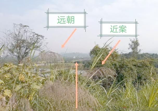 杭州风水被破坏的原因是什么？有没有破解之道？