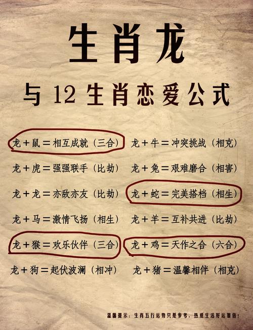 龙女和哪个生肖的搭配最为和谐？