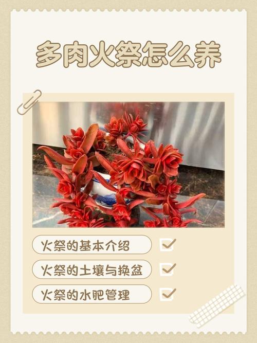 五行属火的人适合养什么植物或动物？五行命理推荐？