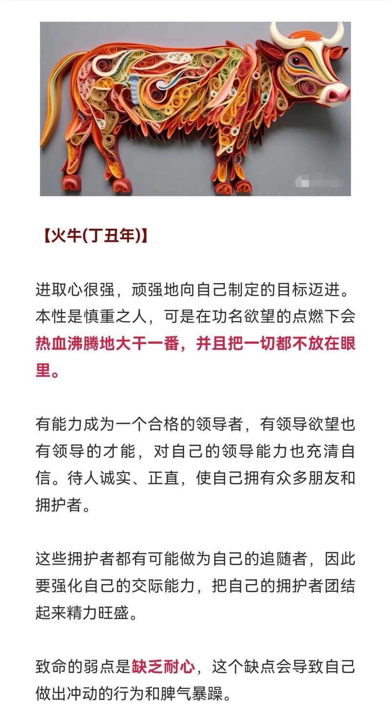 2019年属牛男性运势如何？全年运势详解分析？