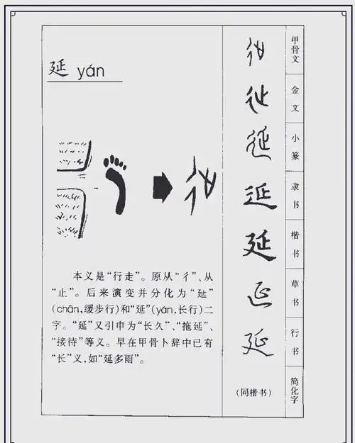 延字在五行中究竟属于哪个属性？