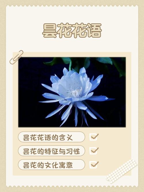 昙花代表哪个生肖动物？昙花一现又代表哪个生肖？