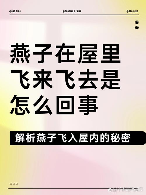 家里飞进燕子有什么风水寓意？