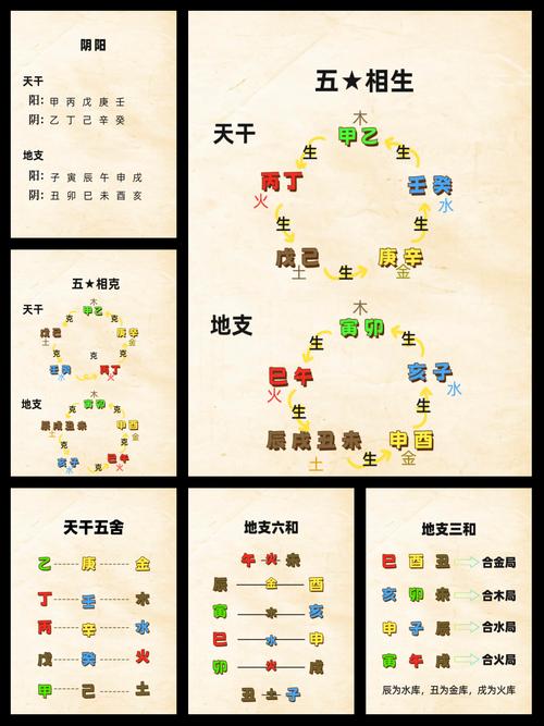 请问‘婿’字在五行中属于哪一类，其含义又是什么？