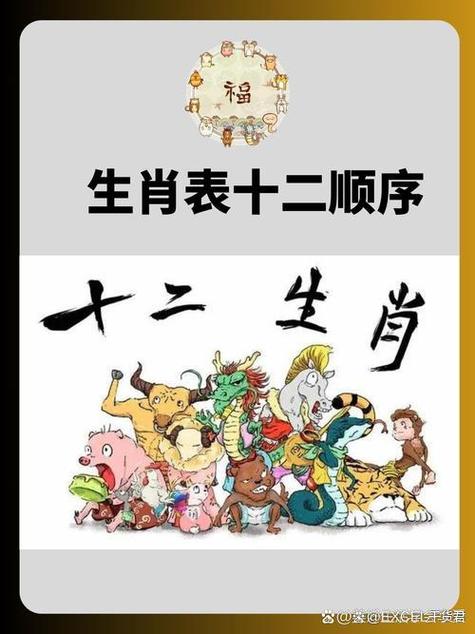 四十九期开奖的生肖是什么？它代表了哪个生肖？