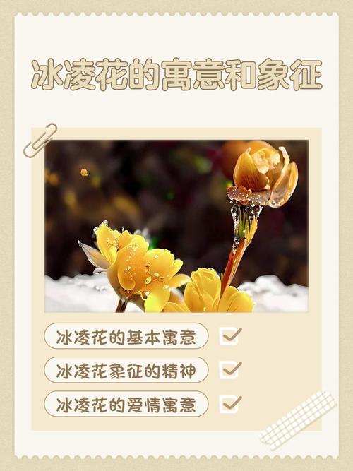 周公解梦：梦见屋檐上挂着冰凌，这究竟是什么预兆或含义？