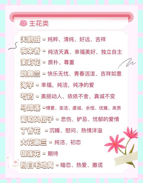 送花时哪种花的花语最符合我的心意，别再傻傻送错花了？