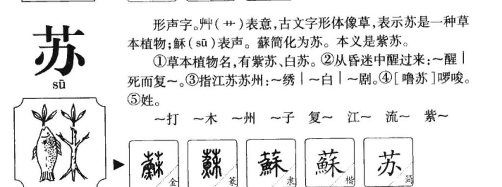 苏字五行寓意究竟是什么其含义在五行中又代表着怎样的特质？