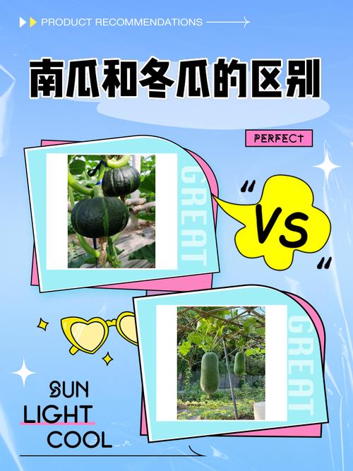 为什么叫冬瓜、南瓜、西瓜，这些名字的由来是什么？