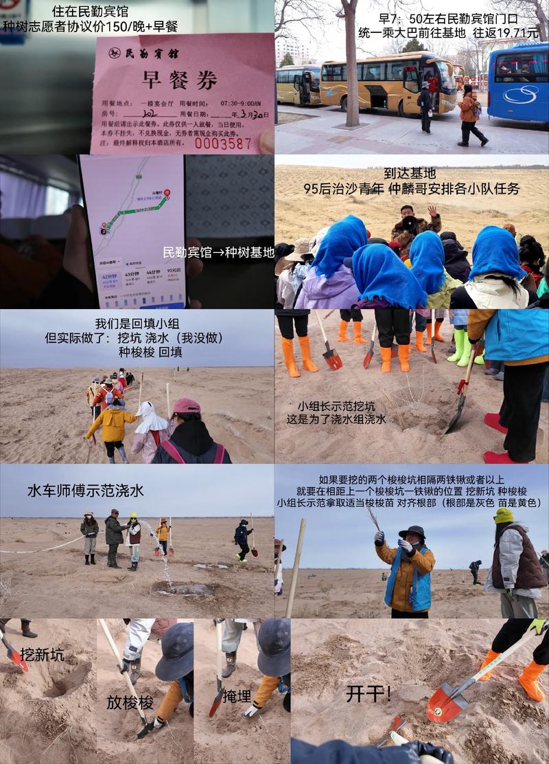 女人梦见自己移树栽树，这梦境意味着什么？