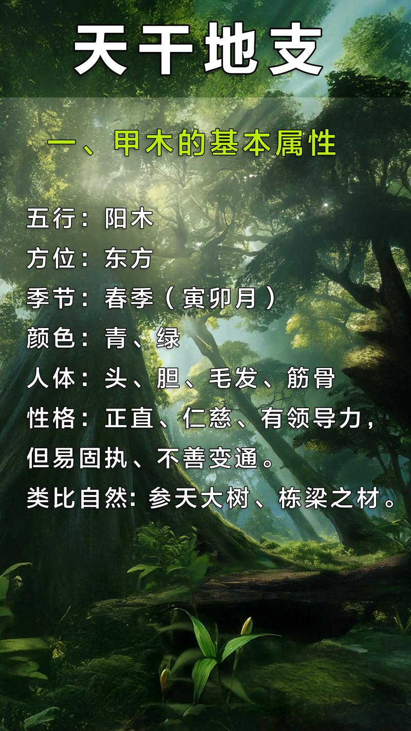 甲木命男孩喜欢什么命？甲木命人适合选择哪些专业？