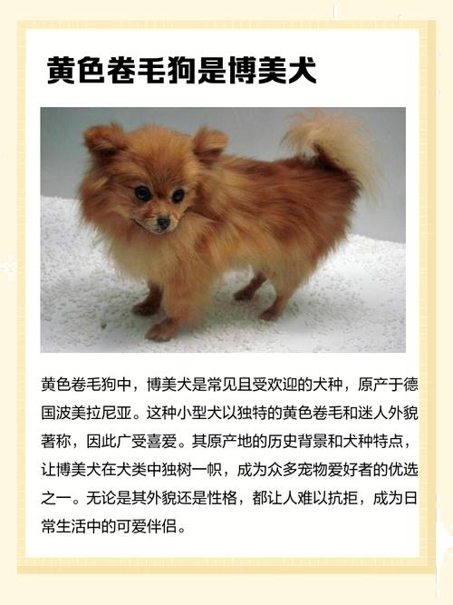 米奇妙妙屋中那只可爱的大黄狗，它的名字是什么呢？
