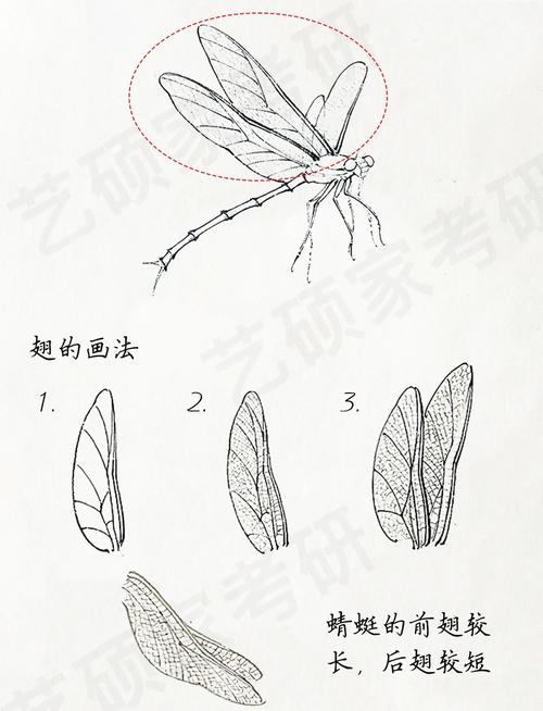 双子座发簪画法，多情蜻蜓偏飞，如何描绘其独特魅力？