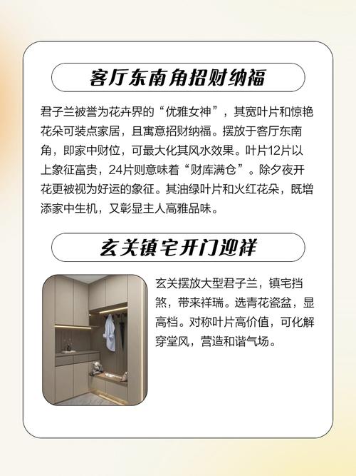 君子兰摆放位置风水上应该放在哪个方位最吉利？