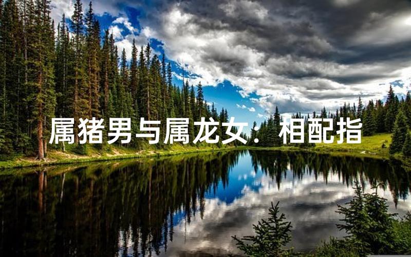 属龙和属猪的人在一起会怎样，真的千万不能在一起吗？