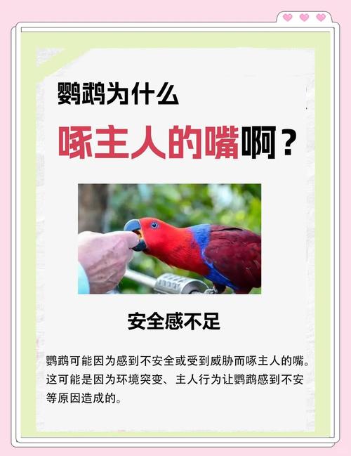 梦见鸟儿开口咬人，最终被掐死，这预示着什么凶兆？