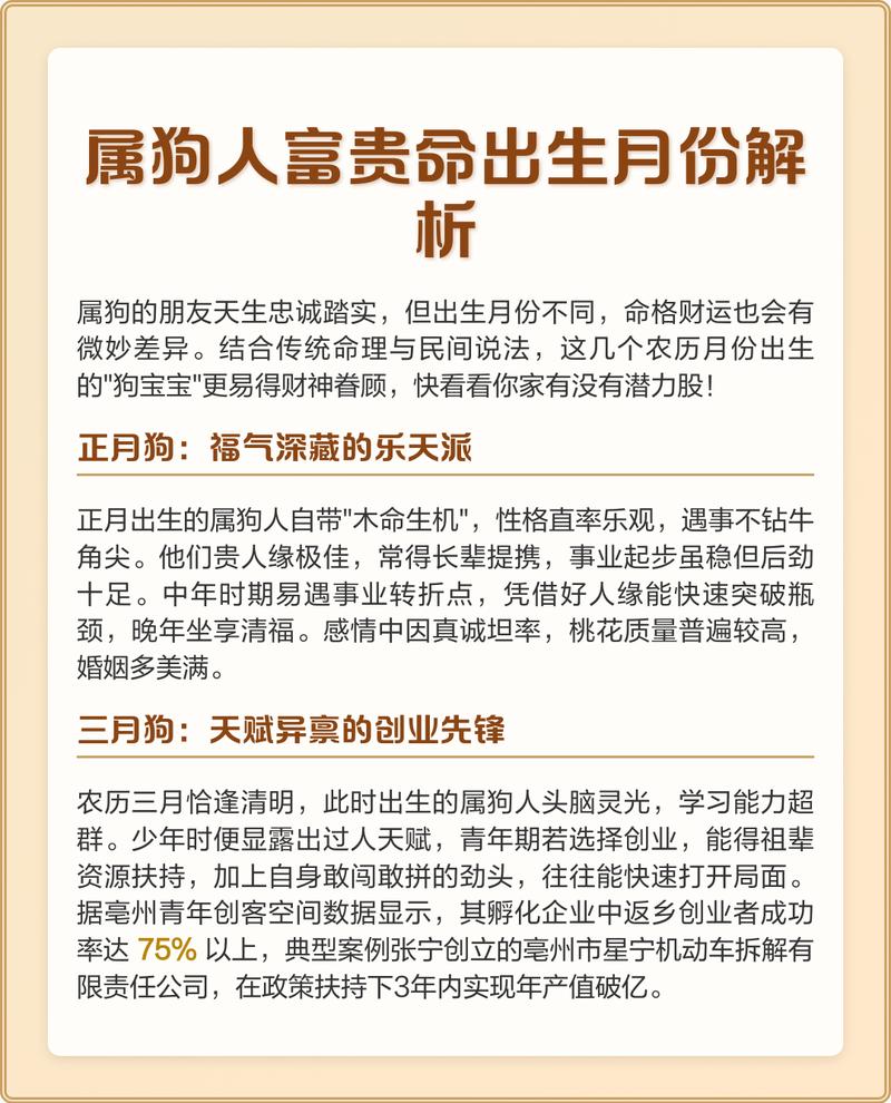 2019年出生属狗的人命运如何？详细解析他们的命运特点？