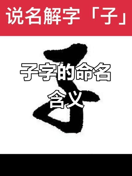 子字在五行中属于哪一行？它的字意和五行属性有什么关联？