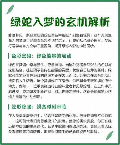 女人梦见一条又粗又长的绿蛇是什么寓意？