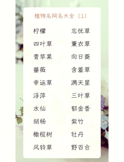 有没有什么冷门又好听的植物名字，两个字组成？
