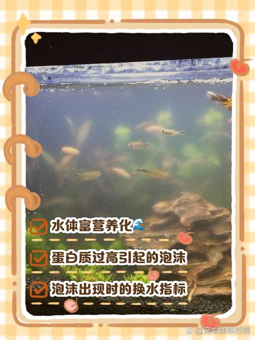 梦见自己家的鱼缸水满溢出是什么征兆，预示着什么好事发生？