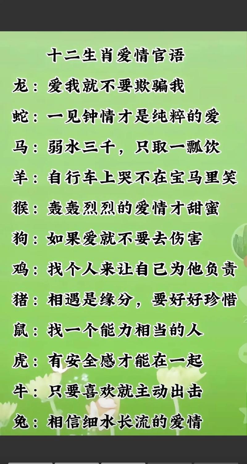 哪个生肖最能代表深情厚谊？